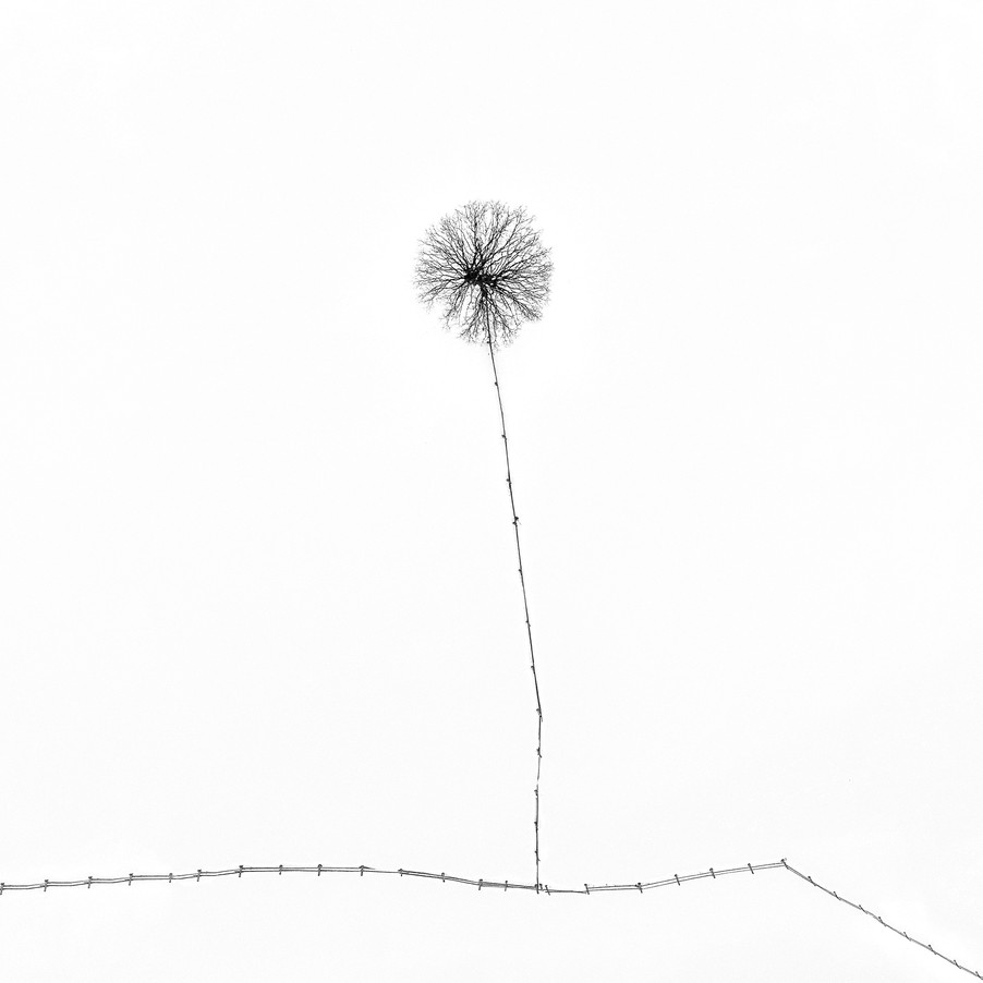 Berufsfotografen Vorarlberg
