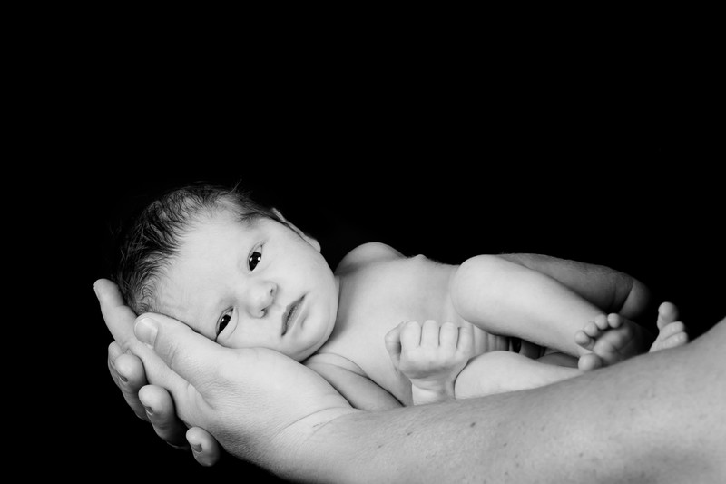 Newborn